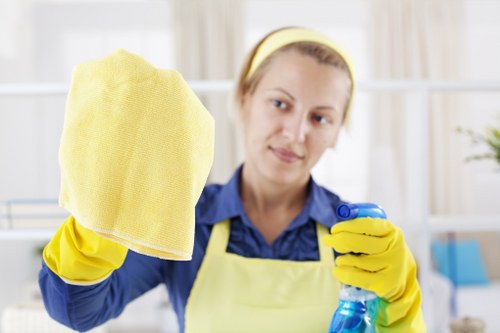 Domestic cleaning in a modern living room