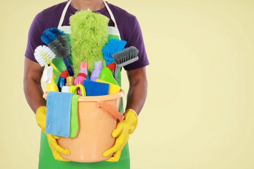 Modern cleaning service helping maintain a fresh and organised urban property