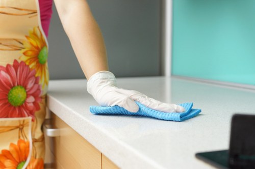 Bathroom detailed cleaning for move out inspection