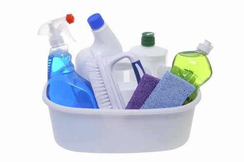 Bathroom domestic cleaning with disinfecting tools