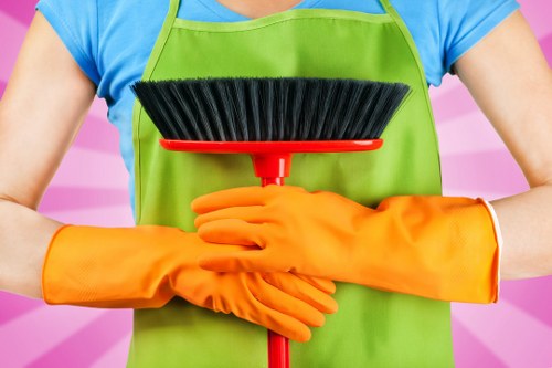 Carpet cleaning in a bright living room