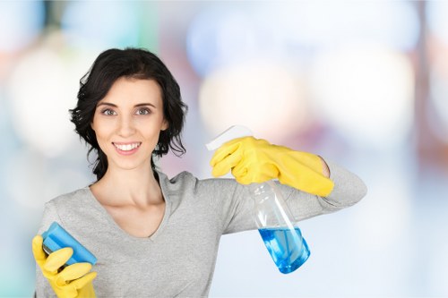 Professional domestic cleaning in a family home