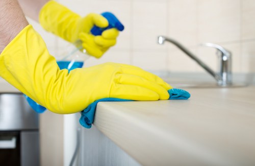 Local oven cleaning in Elephantandcastle for a modern home kitchen