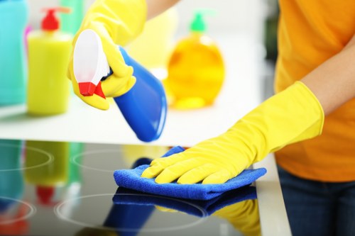 End of tenancy one off cleaning in a rental property