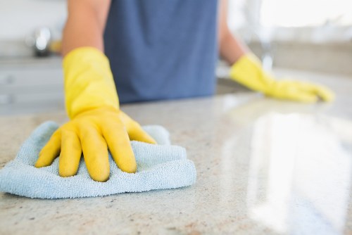 A tidy home cleaning routine organized by rooms